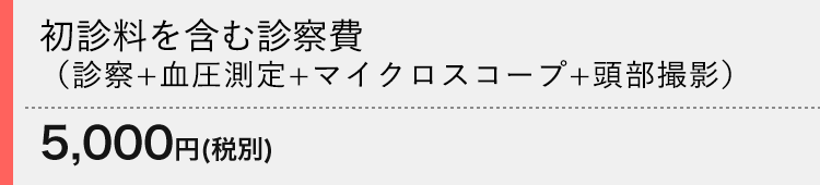 初診料を含む診察費（診察+血圧測定+マイクロスコープ+頭部撮影） 5,500円（税込）