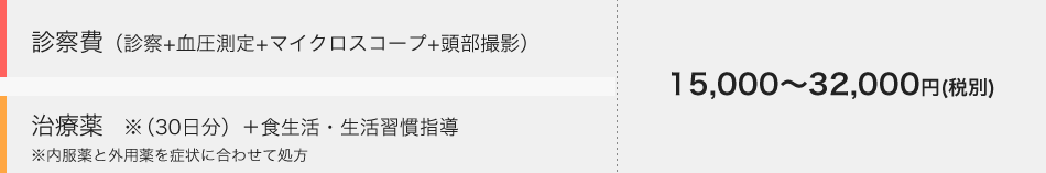 診察費（診察+血圧測定+マイクロスコープ+頭部撮影）+治療薬 ※(30日分)+食生活・生活習慣指導 16,500～35,200円（税込）