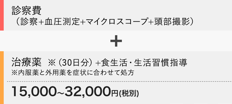 診察費（診察+血圧測定+マイクロスコープ+頭部撮影）+治療薬 ※(30日分)+食生活・生活習慣指導 16,500～35,200円（税込）