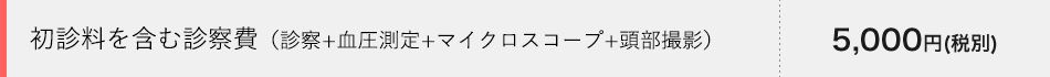 初診料を含む診察費（診察+血圧測定+マイクロスコープ+頭部撮影） 5,500円（税込）