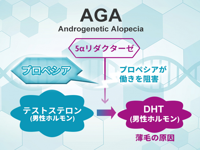 プロペシアは10年で耐性ができるという噂の嘘 ホント 対策あり ヘアメディカル By Dクリニック